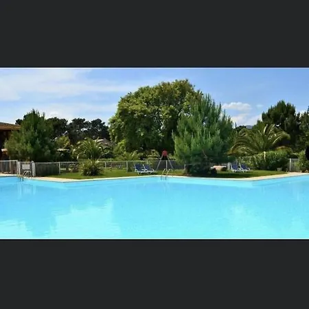 Fiori Di Cala Rossa *